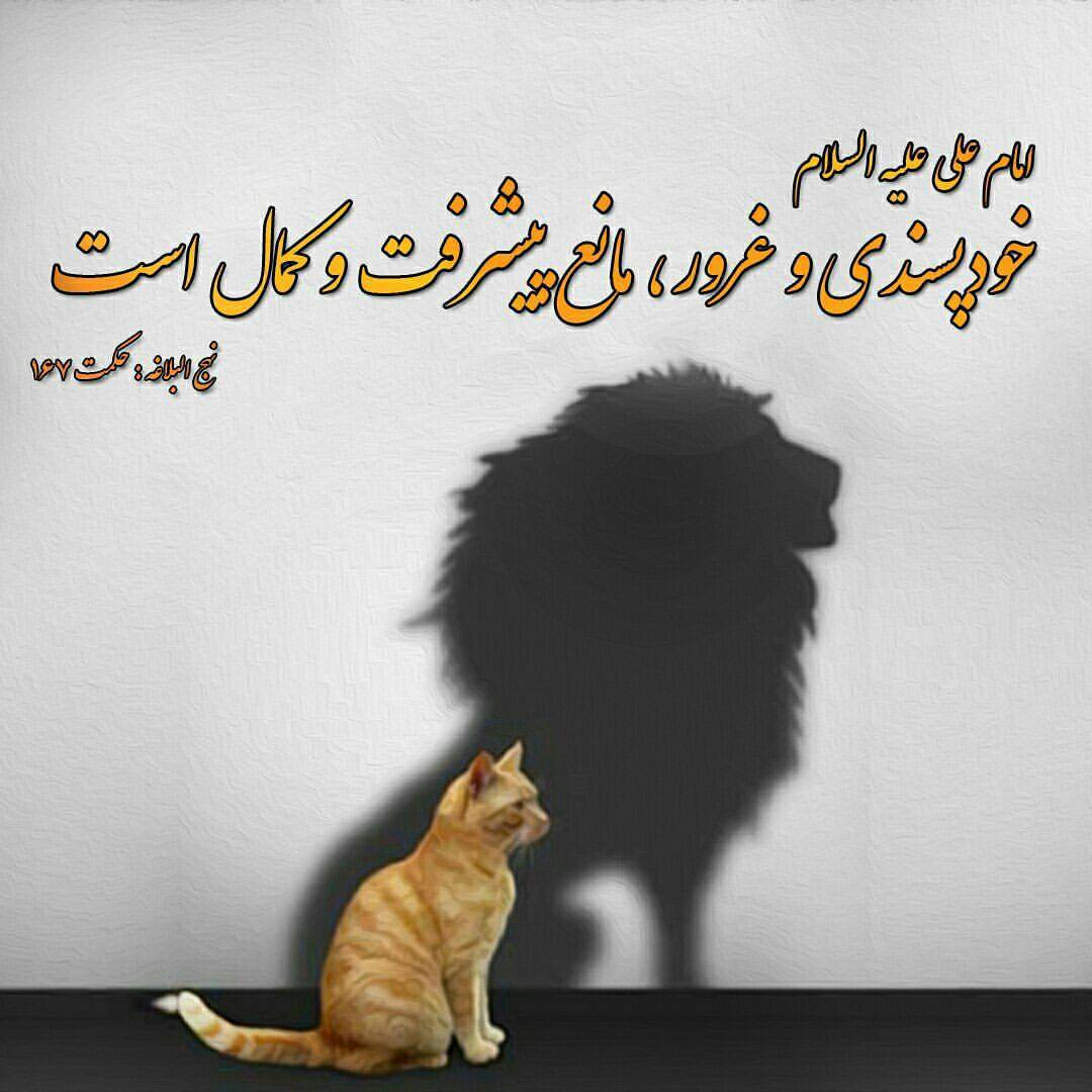 خودپسندی و غرور